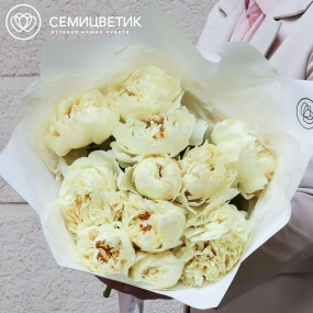 Букет из 11 лимонных пионов Lemon Chiffon Premium в белой пленке