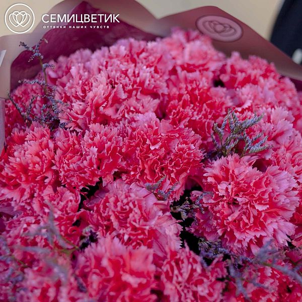 Букет из 51 малиновой гвоздики с лимониумом