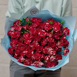 Букет из 25 кустовых роз биколор 40 см (Кения)