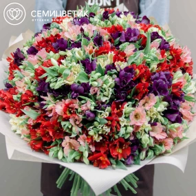 Букет из 101 альстромерии микс в упаковке