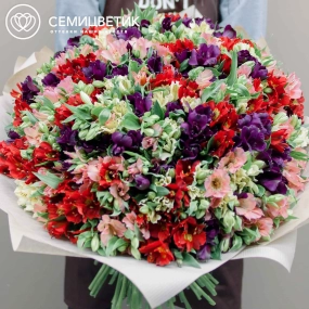 Букет из 101 альстромерии микс в упаковке