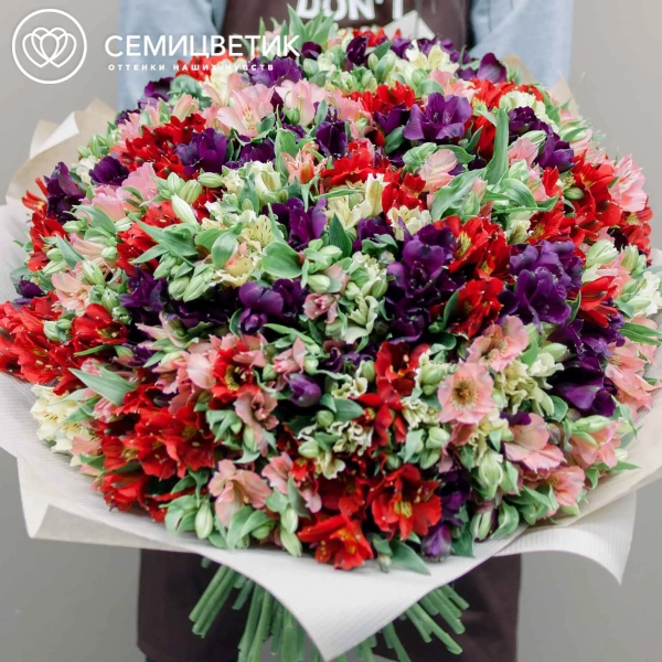 Букет из 101 альстромерии микс в упаковке