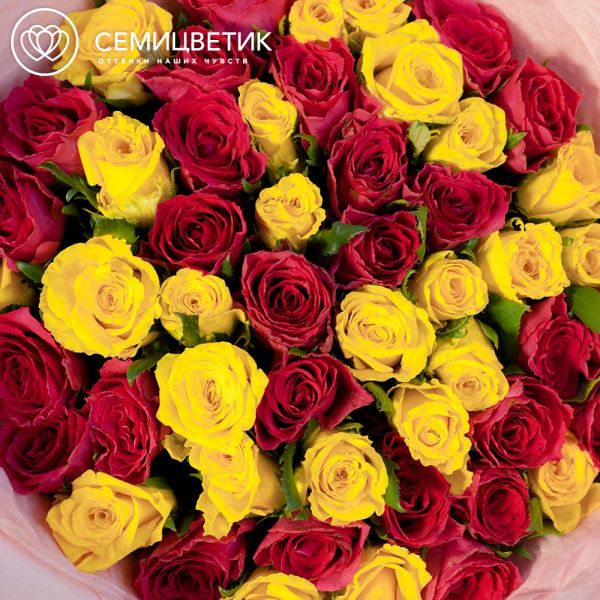 Букет из 51 жёлтой и малиновой розы 35 см (Кения)