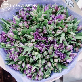 Букет из 51 альстромерии в фиолетовых тонах в кремовой пленке