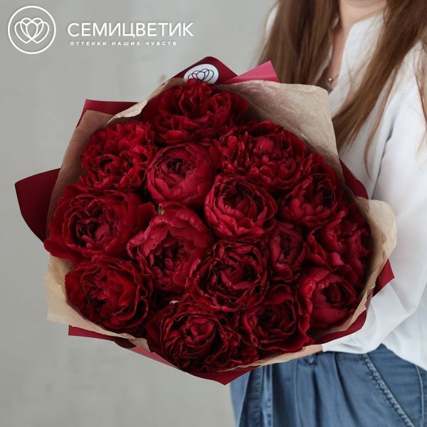 Букет из 15 бордовых пионов Old Faithful Premium в бордовой упаковке