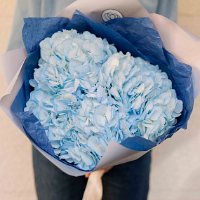 Монобукет  из 3 голубых гортензий в белой пленке