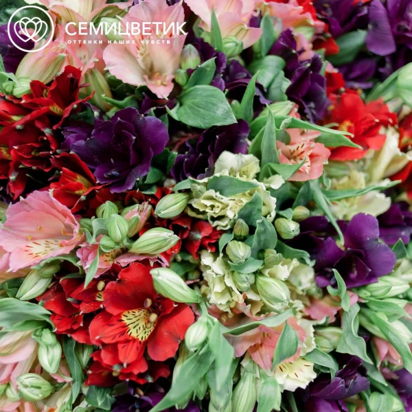 Букет из 101 альстромерии микс в упаковке