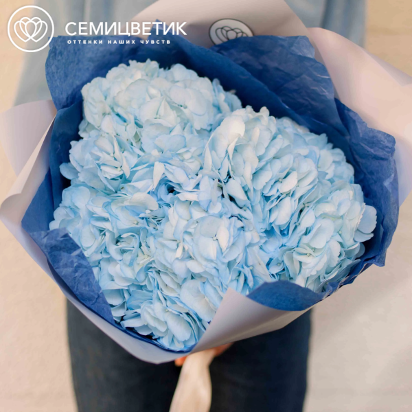 Букет из 3 голубых гортензий в белой пленке