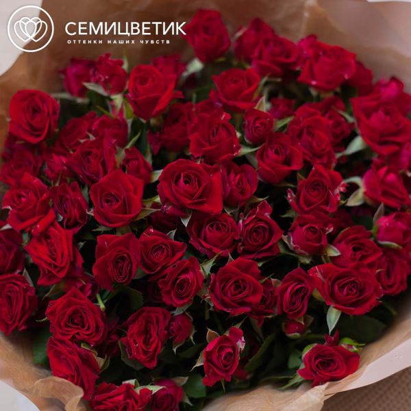 Букет из 23 красных кустовых роз 40 см (Кения)
