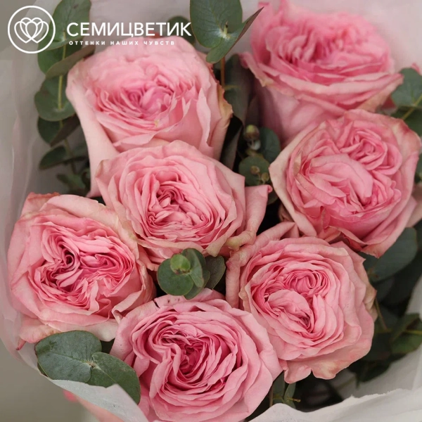 Букет из 7 пионовидных нежно-розовых роз Pink Ohara (Эквадор) 50 см с эвкалиптом