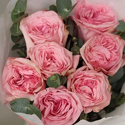 Букет из 7 пионовидных нежно-розовых роз Pink Ohara (Эквадор) 50 см с эвкалиптом
