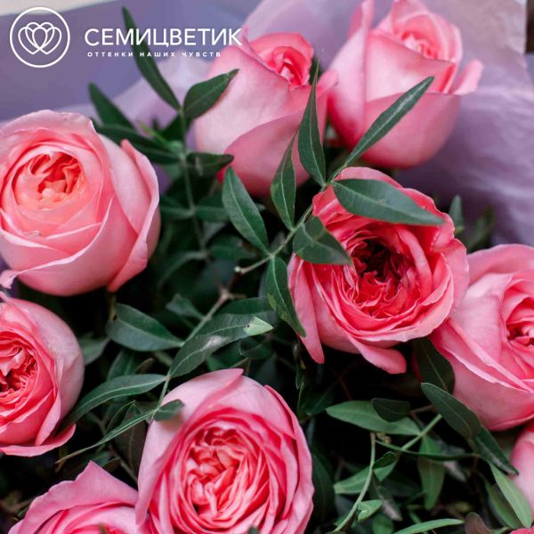 Букет из 11 розовых пионовидных роз Pink Expression 50 см с фисташкой
