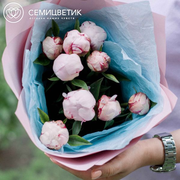 Букет из 9 розовых пионов Standart