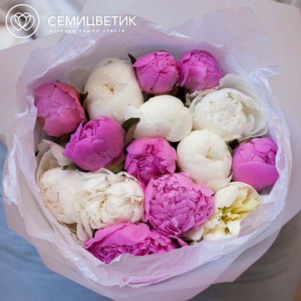 Букет из 15 ярко-розовых и белых пионов Standart Plus