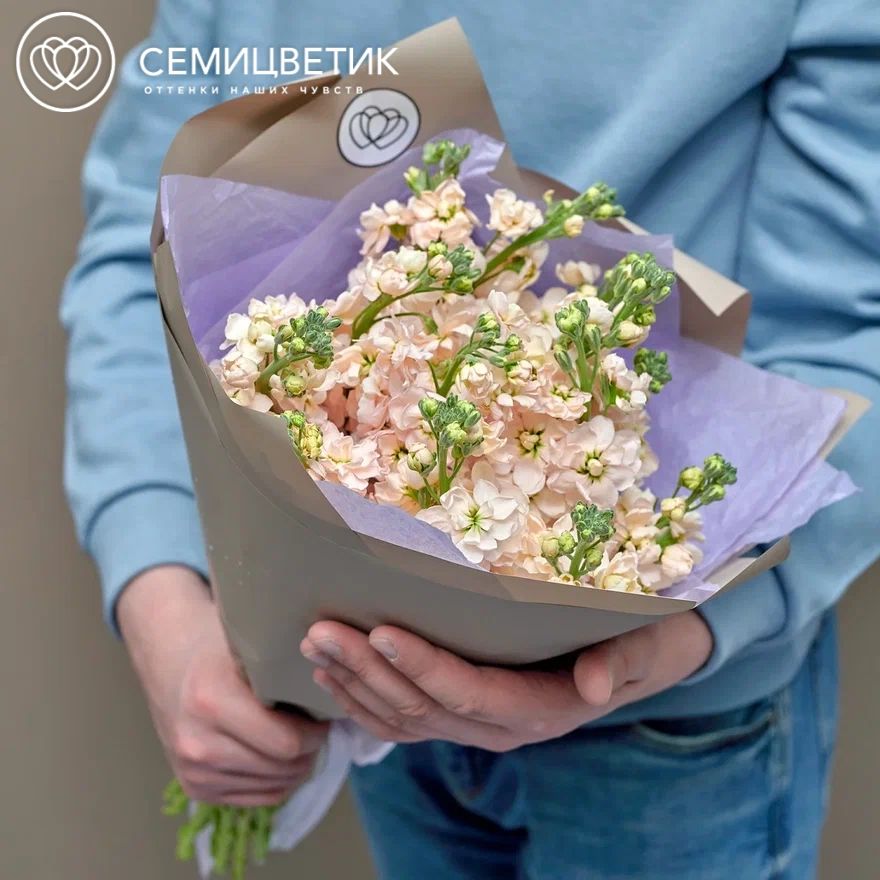 Букет из 15 кремовых махровых маттиол