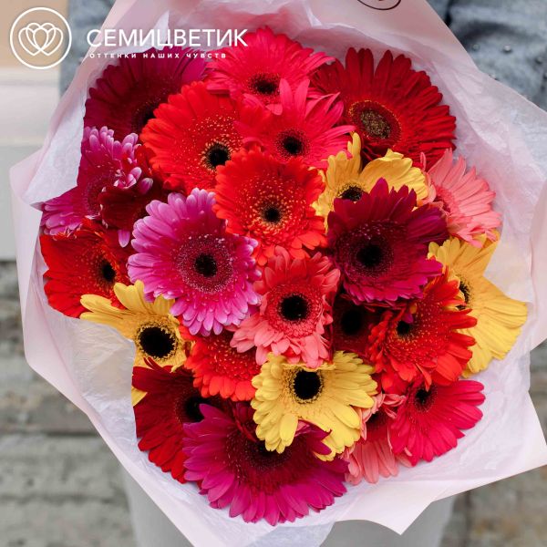 Букет из 25 гербер микс