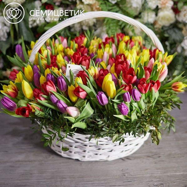 Композиция из 201 тюльпана микс с зеленью в корзине