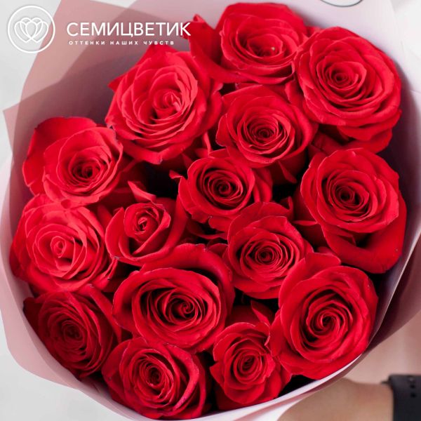Букет из 15 красных роз Freedom 50 см (Эквадор) в розовой пленке
