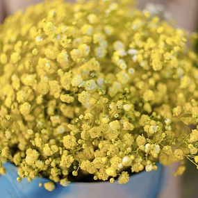 Букет в голубой шляпной коробке Amour Mini из 9 желтых гипсофил