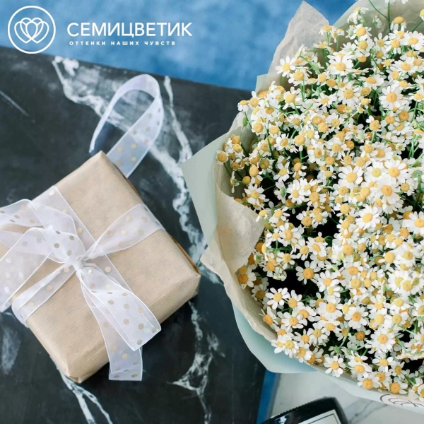 Букет из 51 матрикарии в голубой пленке