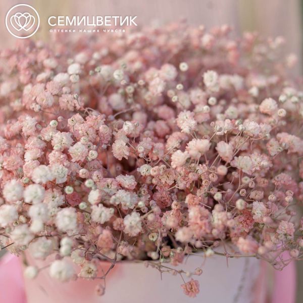 Букет в розовой шляпной коробке Amour Mini из 9 персиковых гипсофил