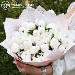 Букет из 25 нежно-розовых пионов Standart в голубой пленке