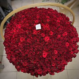 777 красных роз (Кения) Premium в корзине
