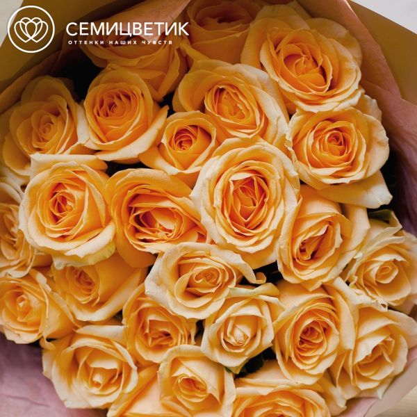 Букет из 25 кремовых роз 50 см (Россия)