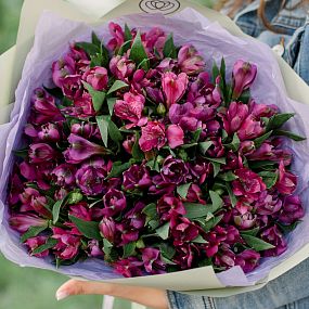 Букет из 23 альстромерий в фиолетовых тонах в кремовой пленке