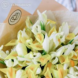 Букет из 25 желтых ирисов