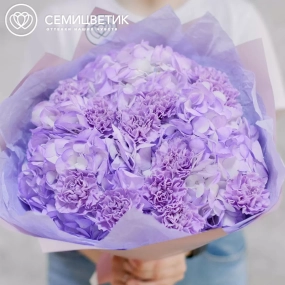 Букет из 3 фиолетовых гортензий и 10 сиреневых гвоздик в розовой пленке