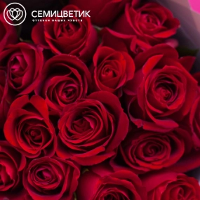 Букет из 17 красных роз 40 см (Кения) в розовой пленке