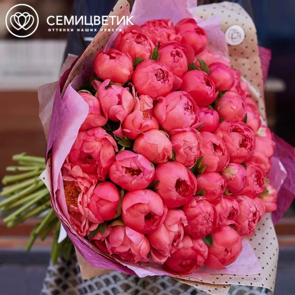 Букет из 51 кораллового пиона Coral Sunset Premium в упаковке