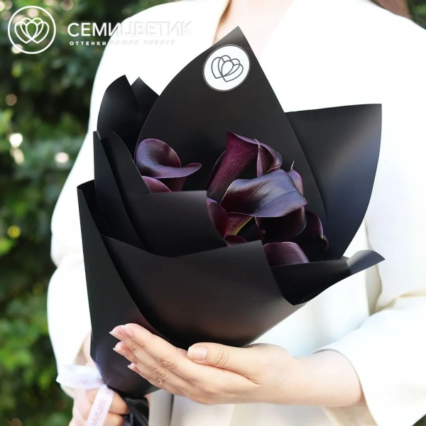 Букет из 11 темно-фиолетовых калл в черной пленке