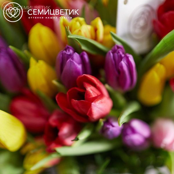 Композиция из 201 тюльпана микс с зеленью в корзине