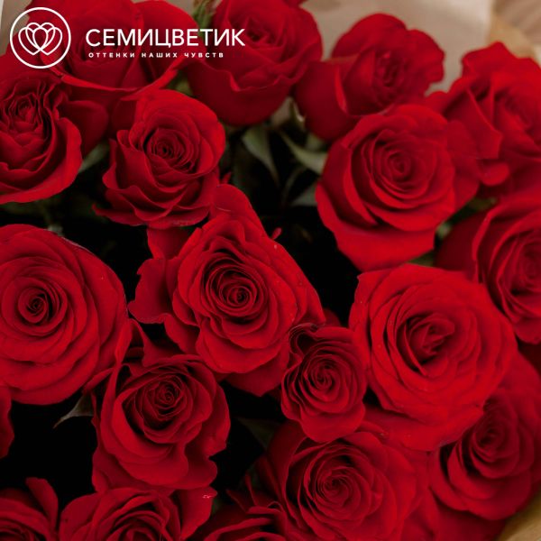 Букет из 25 красных с темной каймой роз Магия 90 см (Россия)