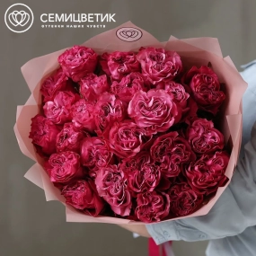 Букет из 25 сиреневых пионовидных роз Queen Crown 50 см (Эквадор) в розовой пленке