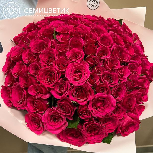 Букет из 101 малиновой розы 40 см (Кения) в розовой пленке