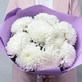 Букет из 9 одноголовой белых хризантем