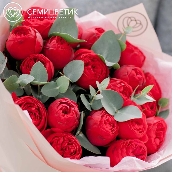 Букет из 19 красных пионовидных роз Red Piano 40 см с эвкалиптом