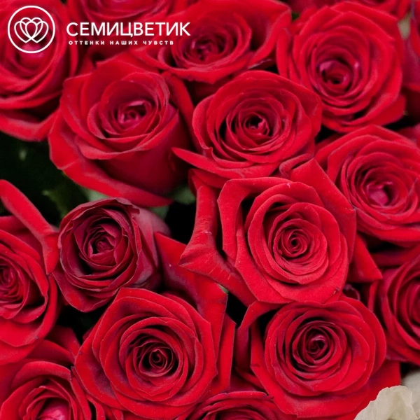Букет из 25 красных роз 50 см (Россия)