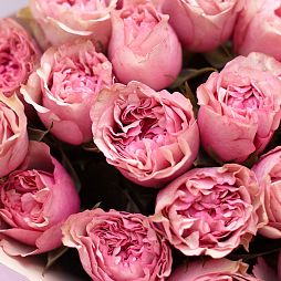 Розовые пионовидные розы Love Me Tender 40 см опт