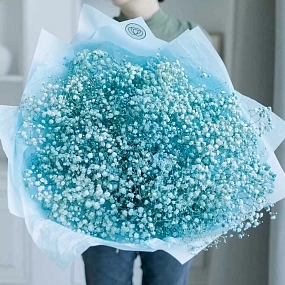 Монобукет  из 15 голубых гипсофил в голубой пленке