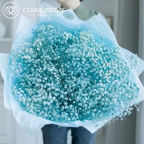 Букет из 15 голубых гипсофил в голубой пленке