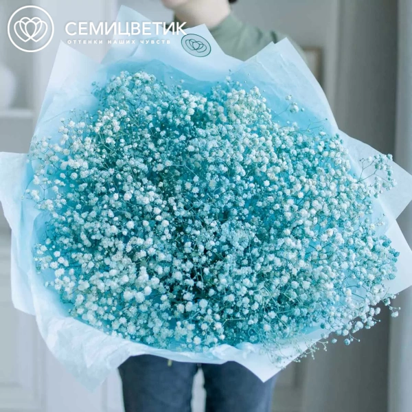 Букет из 15 голубых гипсофил в голубой пленке