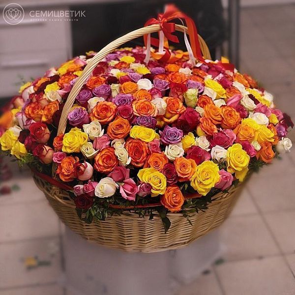 Композиция из 301 розы яркий микс (Эквадор) в корзине