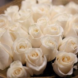 Букет из 31 белой розы (Эквадор) 80 см Vendela