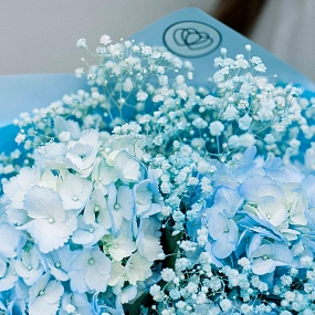 Букет из 3 голубых гортензий с голубой гипсофилой в голубой пленке