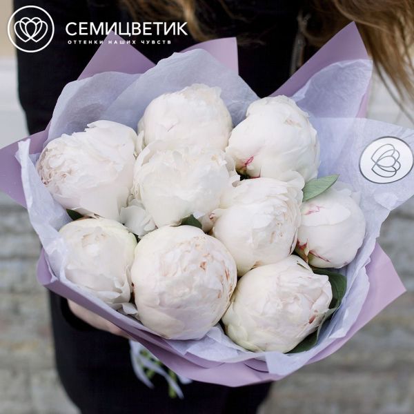 Букет из 9 белых пионов Premium