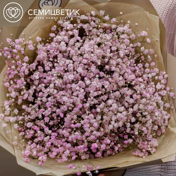 Букет из 7 розовых гипсофил